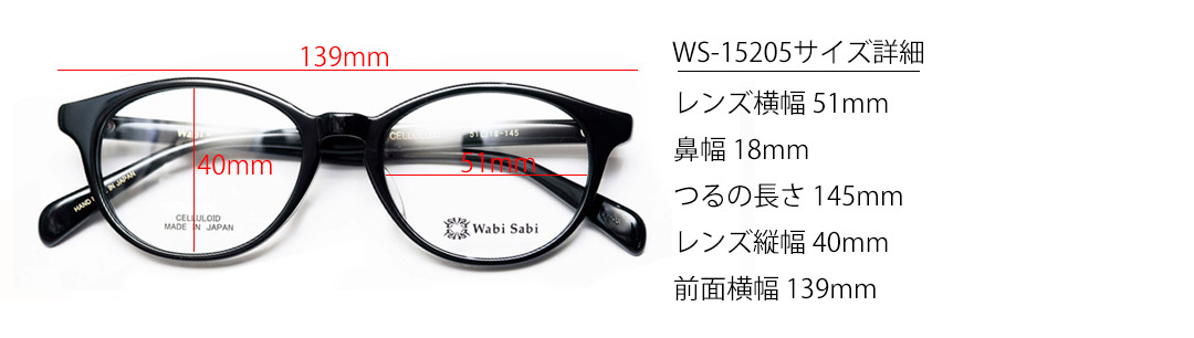 ws-13205-TCY